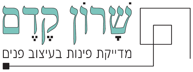 שרון קדם עיצוב פנים